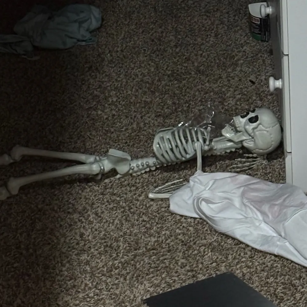 bengrande.bsky.social's profile picture