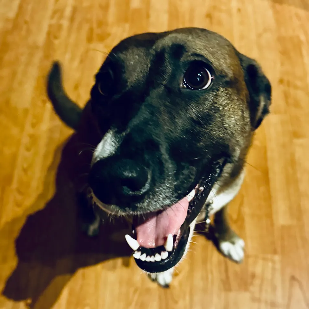 lakeladylake.bsky.social's profile picture