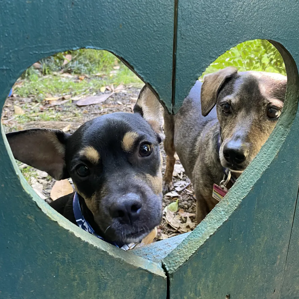 mauigreg.bsky.social's profile picture