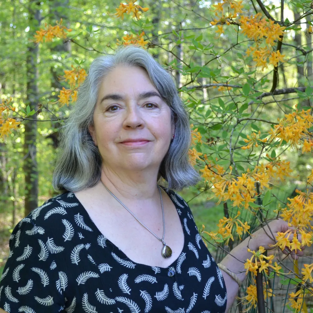 elizabee.bsky.social's profile picture