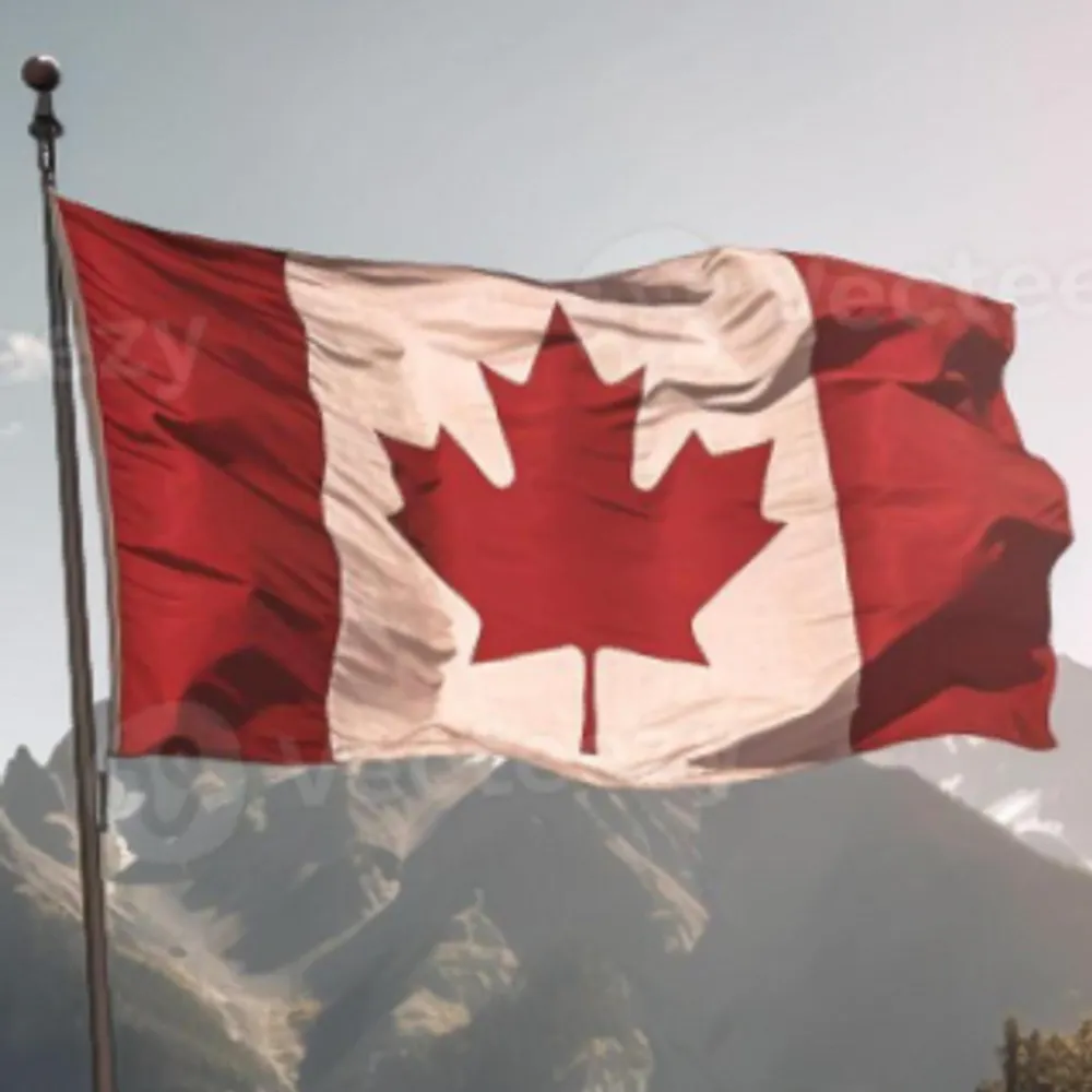 whereiswiseoldowl.bsky.social's profile picture