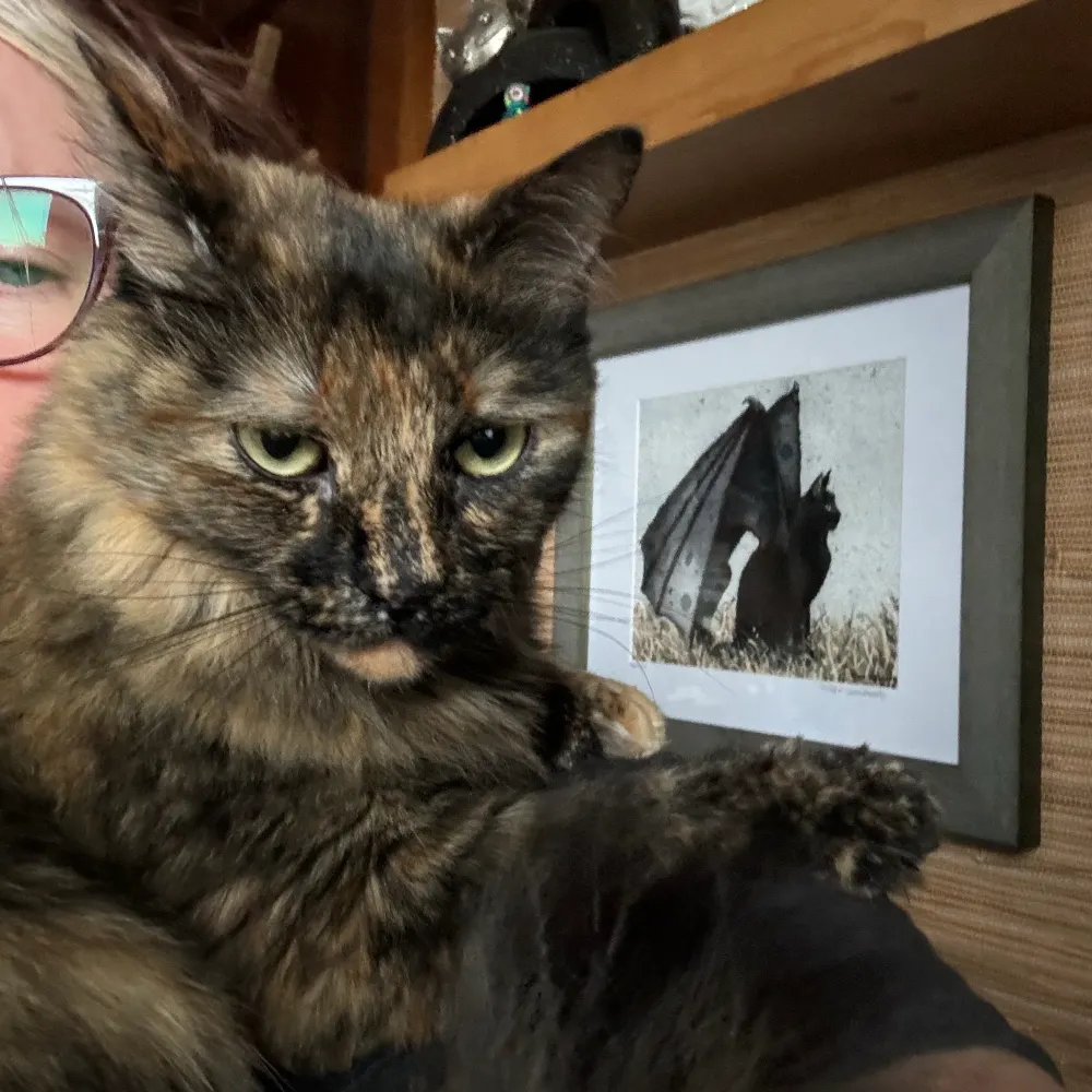 nonie.bsky.social's profile picture