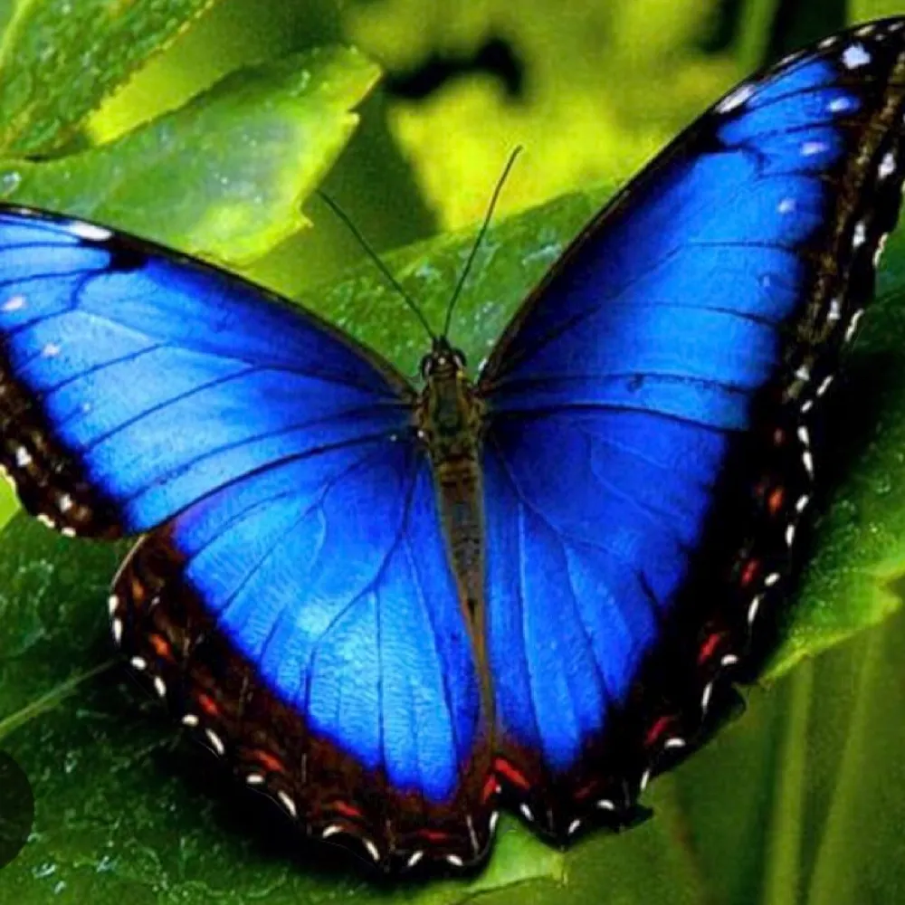 elizdelg.bsky.social's profile picture