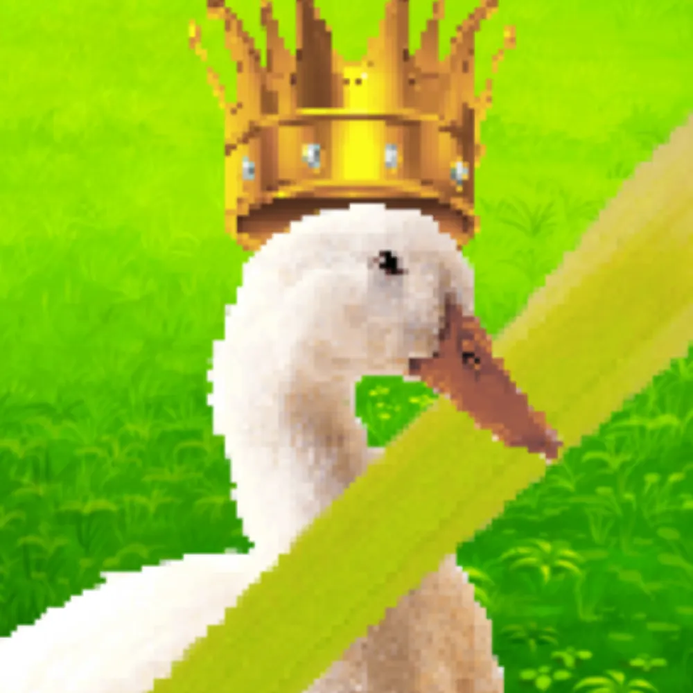 hackstr.bsky.social's profile picture