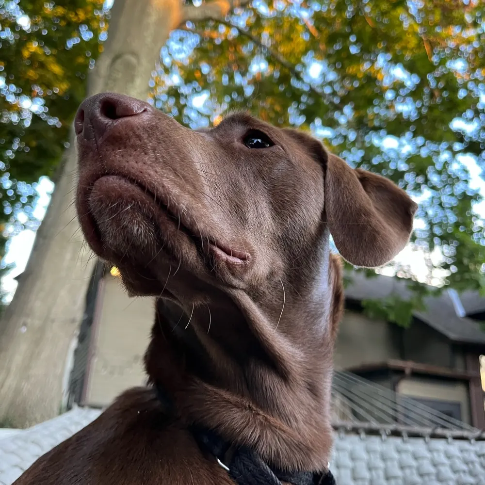 pompatusoflove.bsky.social's profile picture