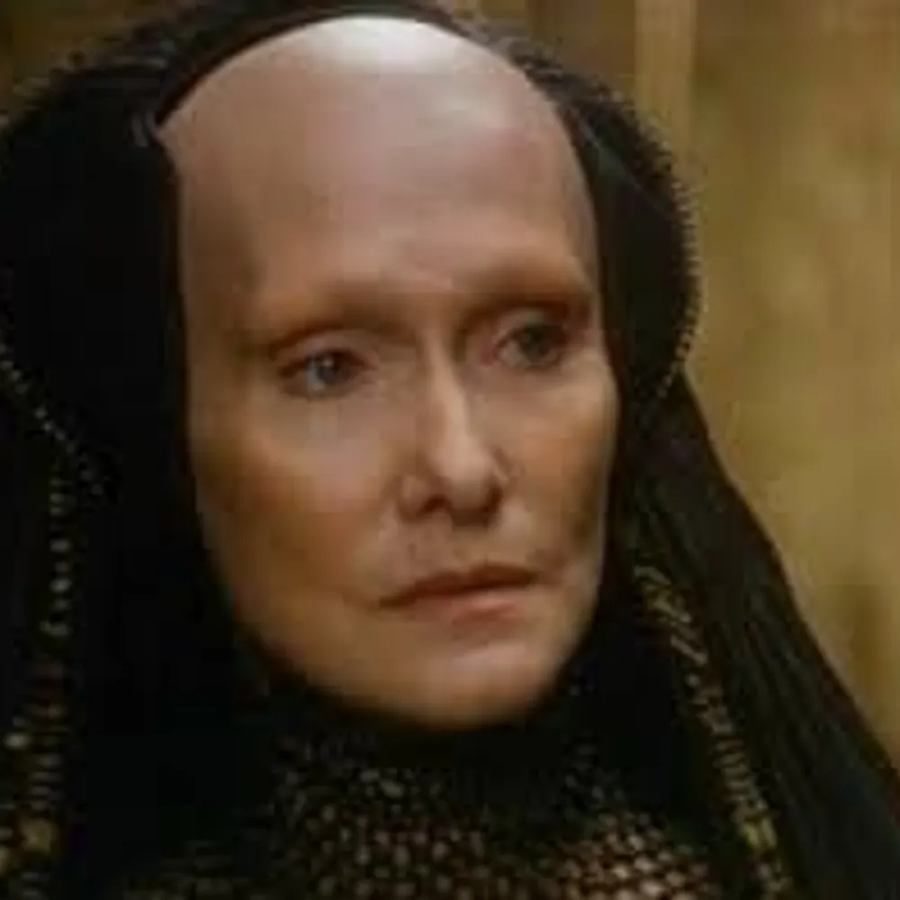 vickyr.bsky.social's profile picture