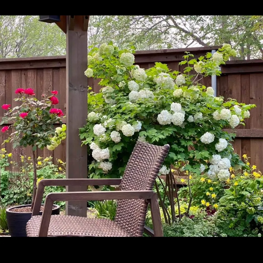 worriedforus.bsky.social's profile picture