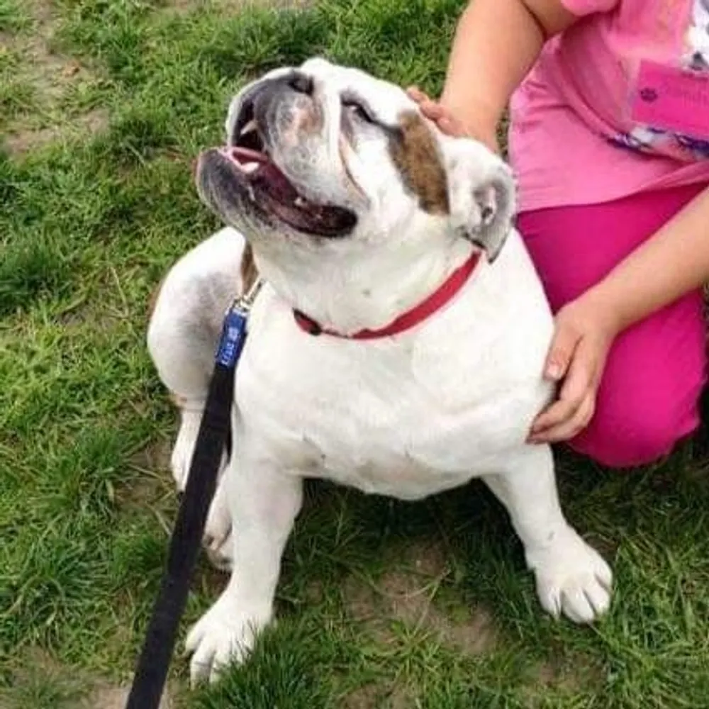 samuraicindy.bsky.social's profile picture