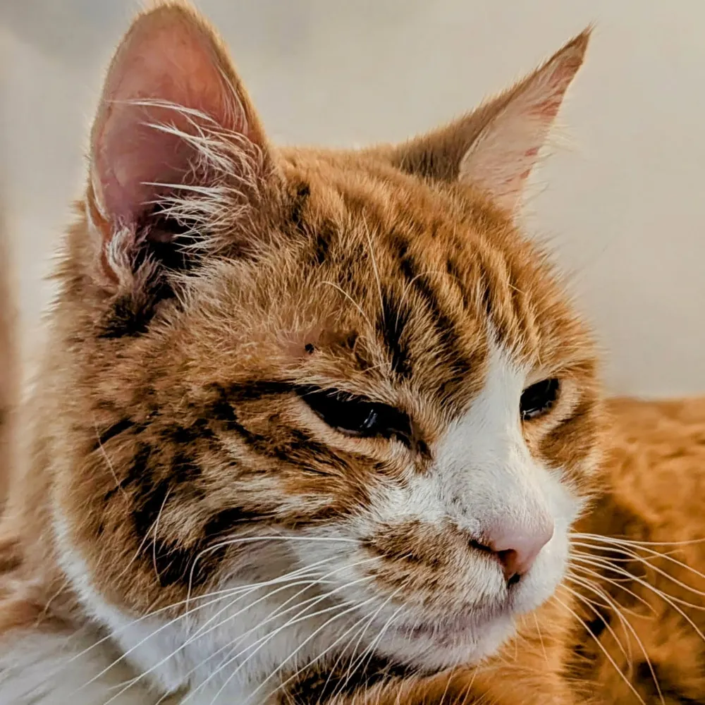 drpotter.bsky.social's profile picture