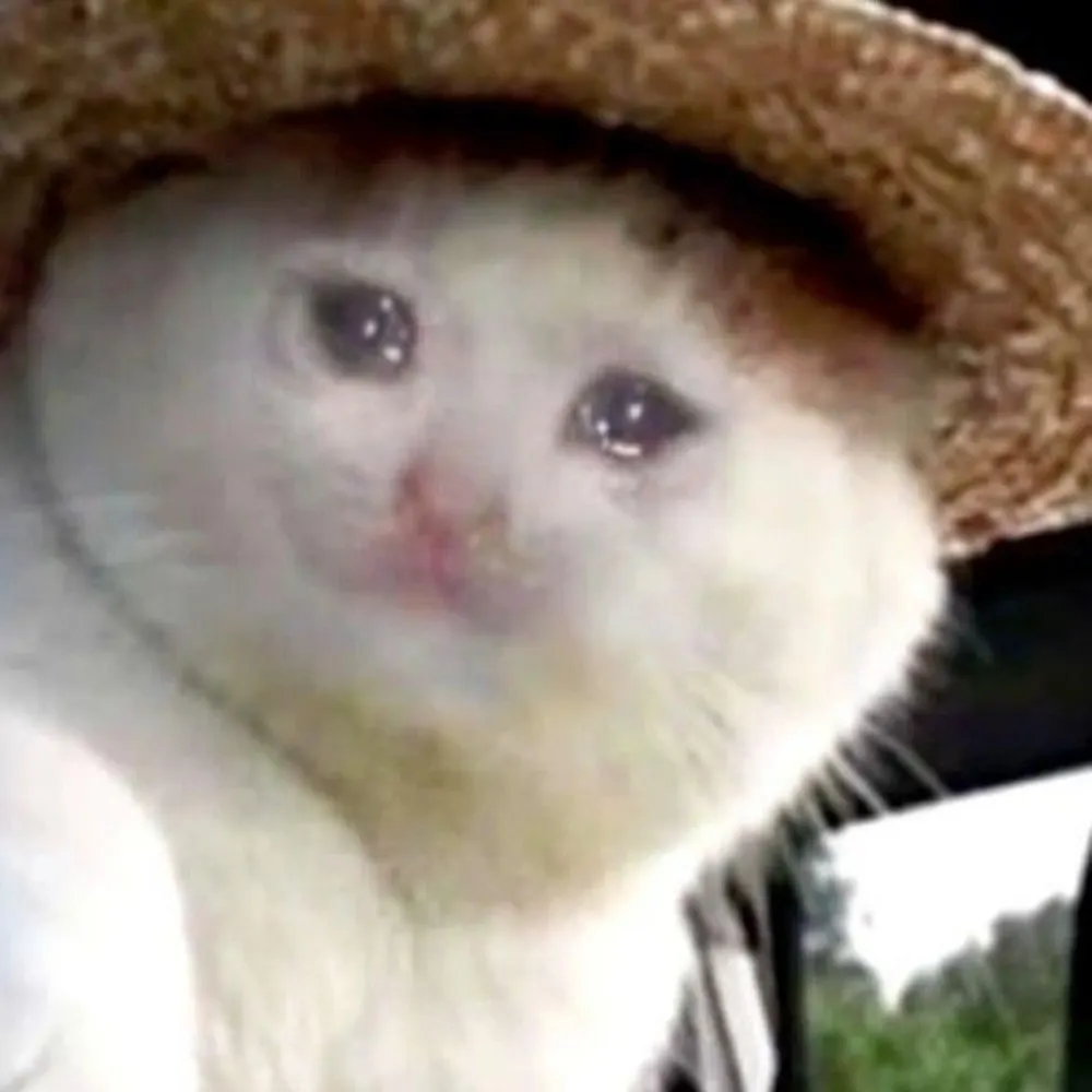 lizckler.bsky.social's profile picture