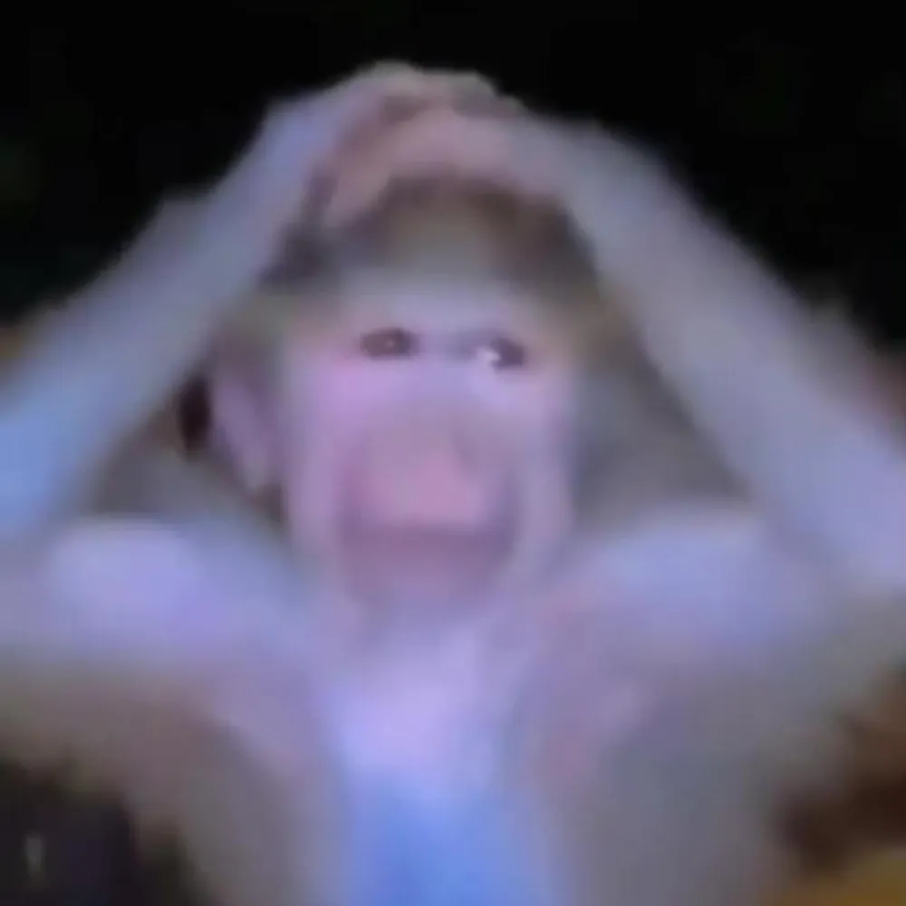 worbe.bsky.social's profile picture