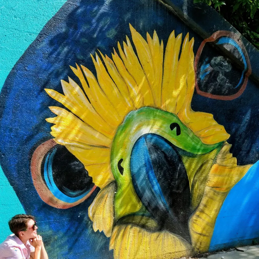 json95.bsky.social's profile picture