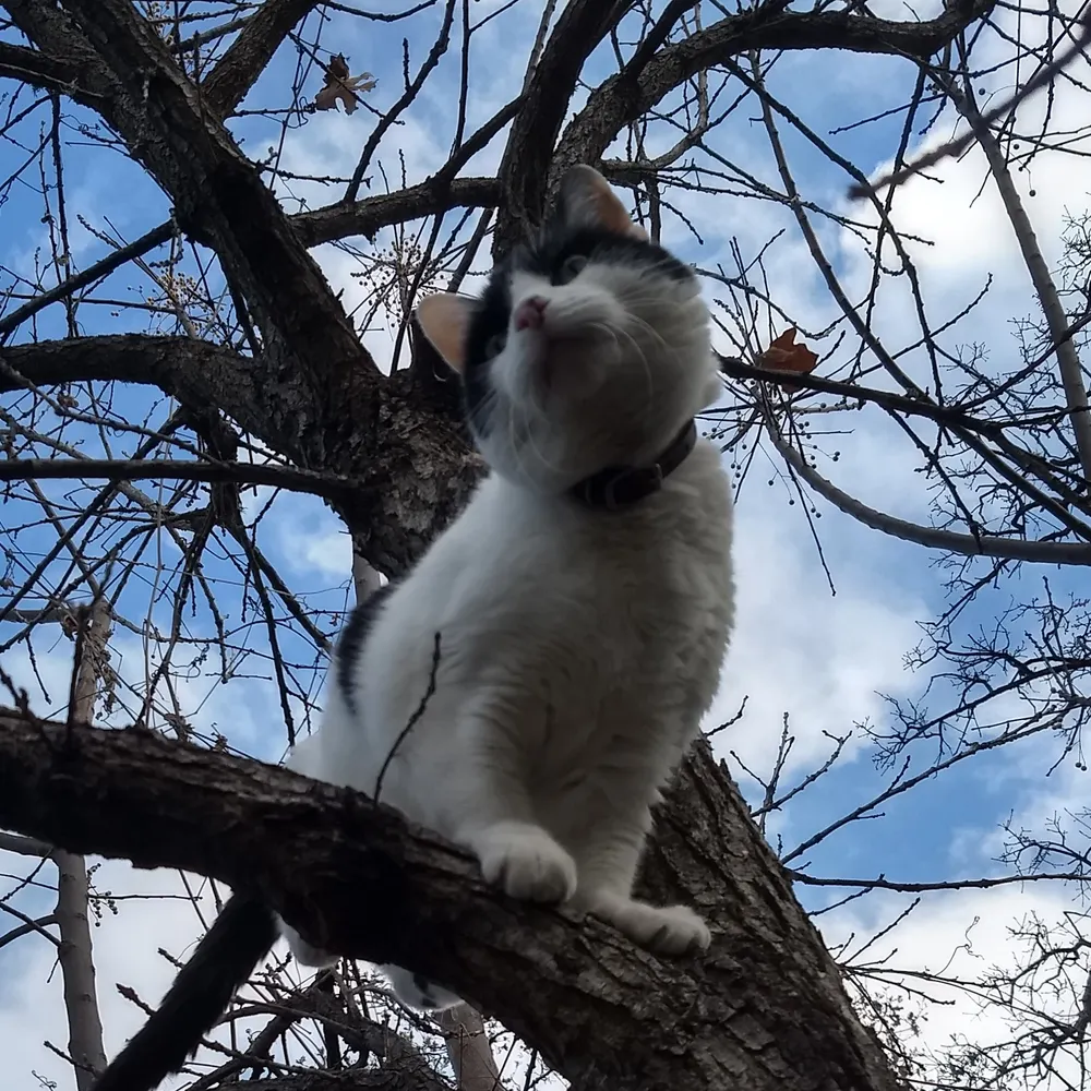 flacotx.bsky.social's profile picture