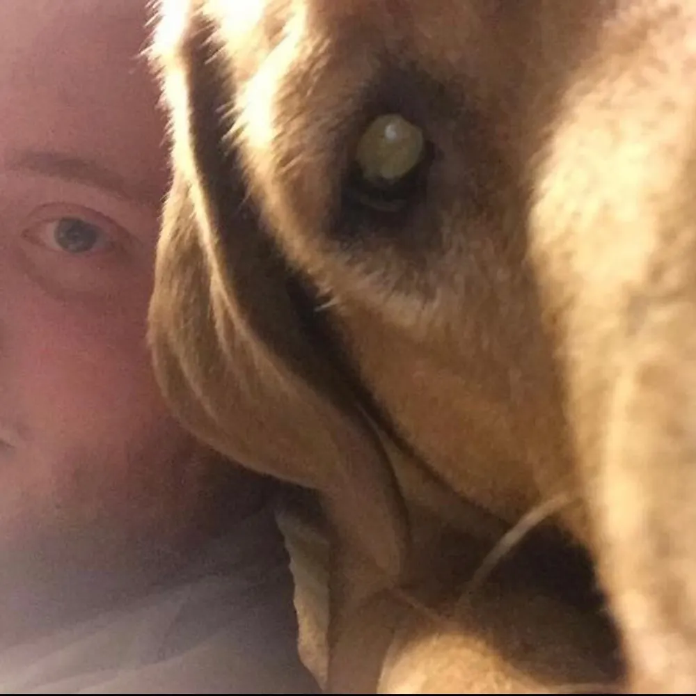 redheadedhermit.bsky.social's profile picture