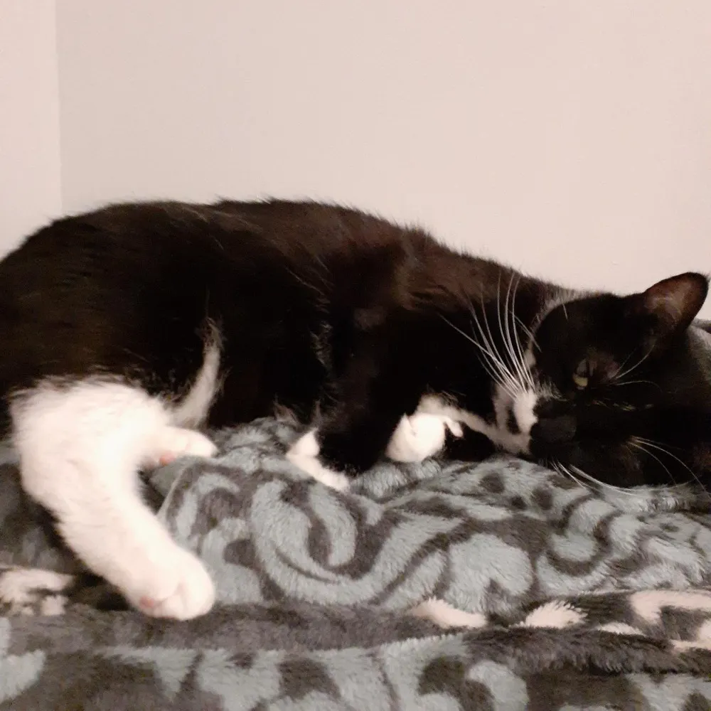 wangledteb.bsky.social's profile picture