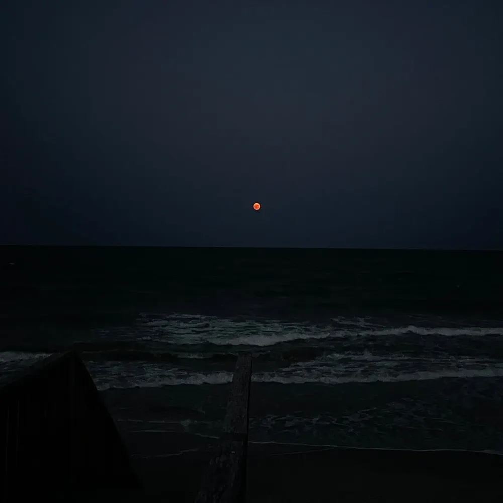 albertburneko.bsky.social's profile picture