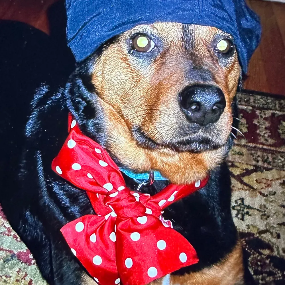 neeneedido.bsky.social's profile picture