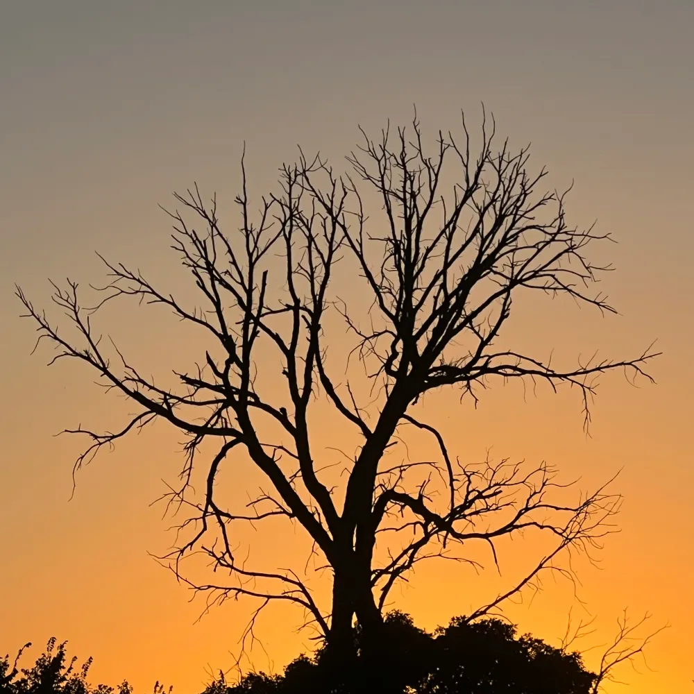 marco522.bsky.social's profile picture