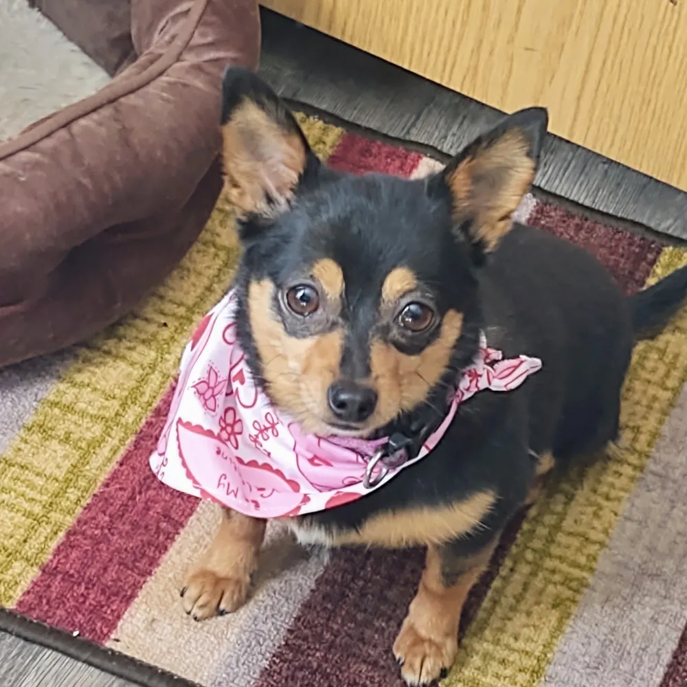 jabsandkisses.bsky.social's profile picture