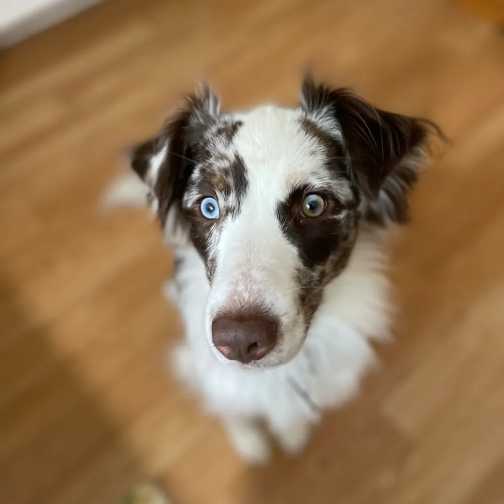 fishnmojo.bsky.social's profile picture