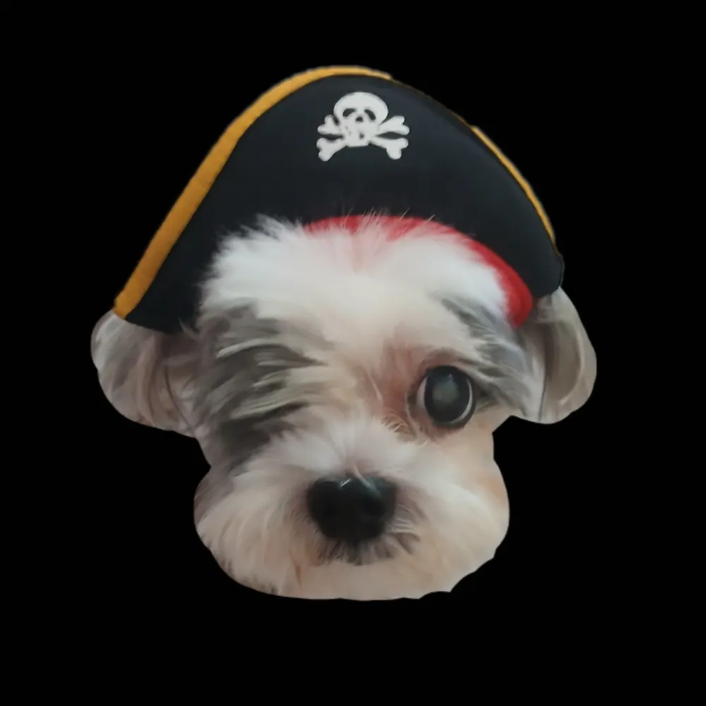 xochiptx.bsky.social's profile picture