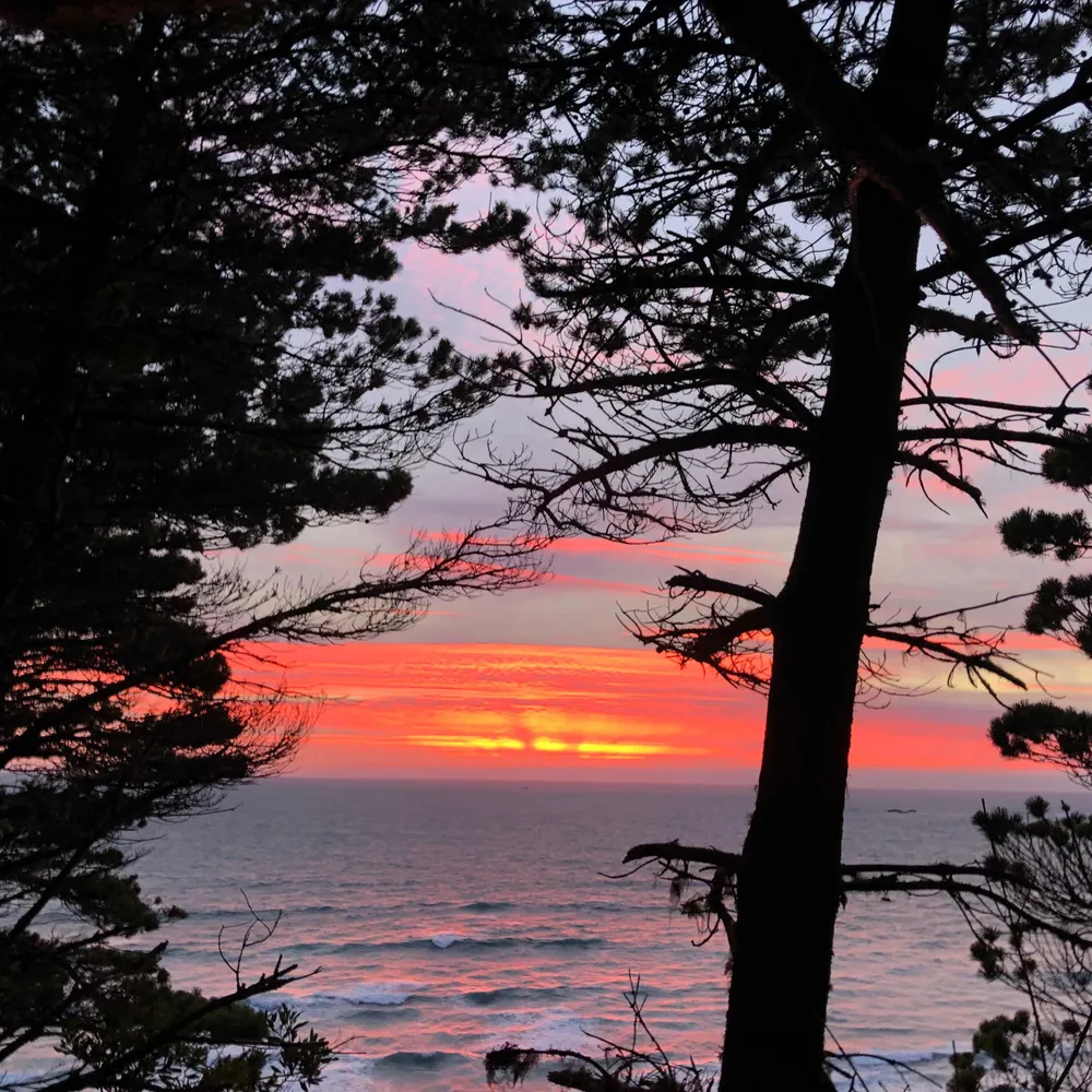 gandkev.bsky.social's profile picture