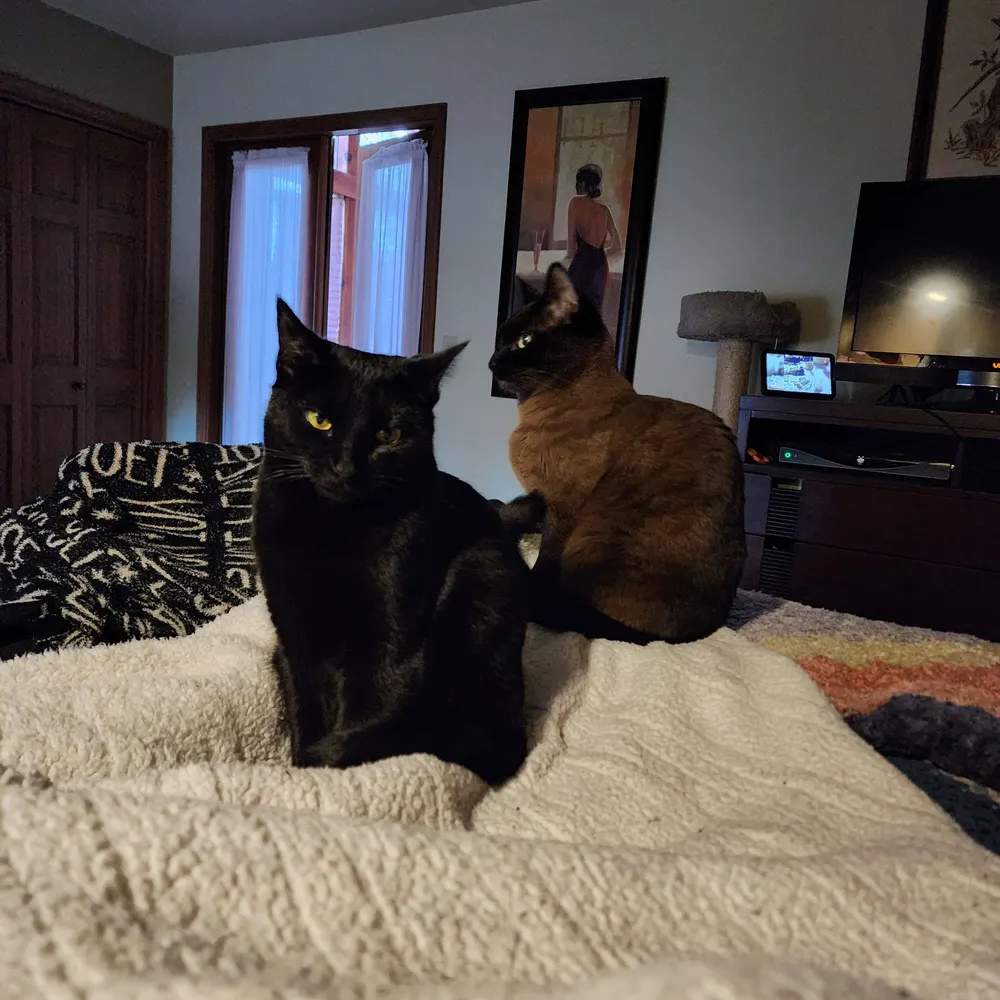 natayasworlds.bsky.social's profile picture