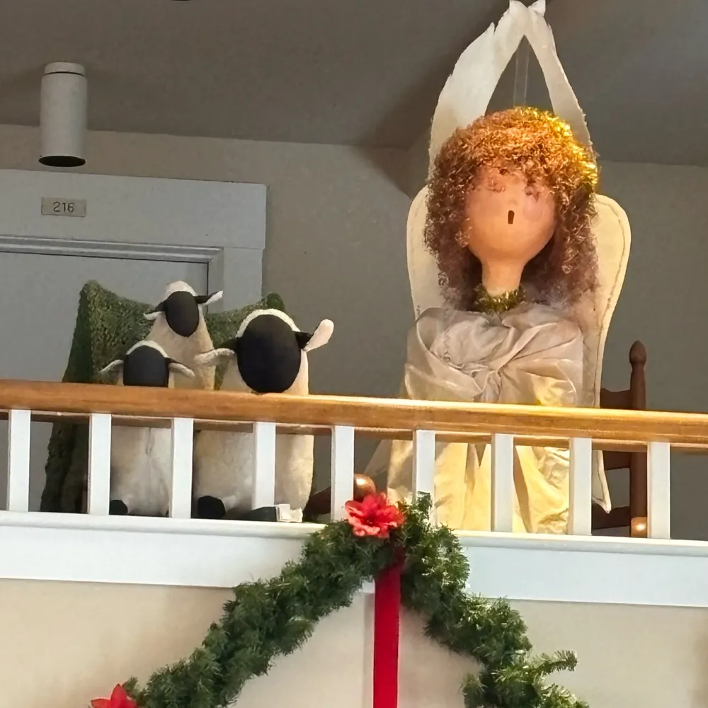 frant1.bsky.social's profile picture