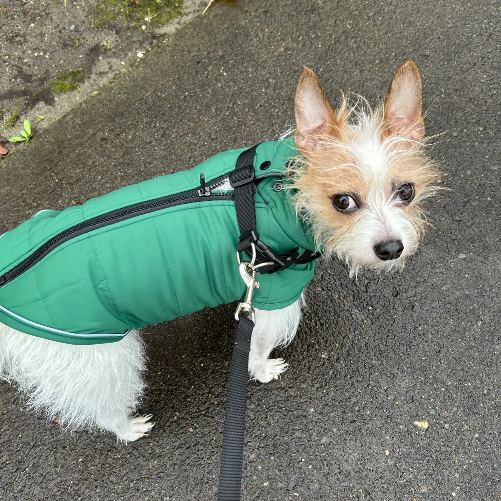 grantifa9.bsky.social's profile picture