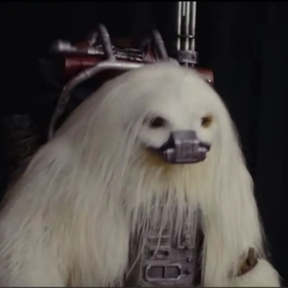 mrdavid8.bsky.social's profile picture