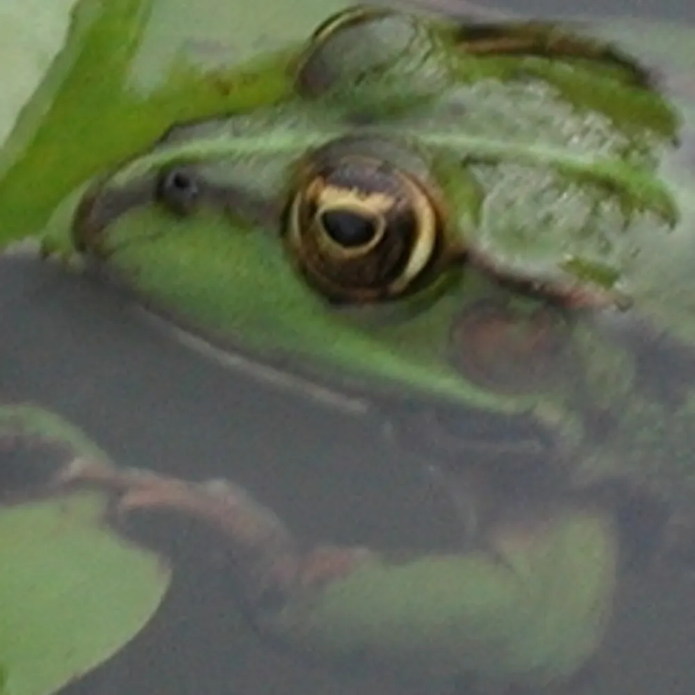 kroekermartin.bsky.social's profile picture