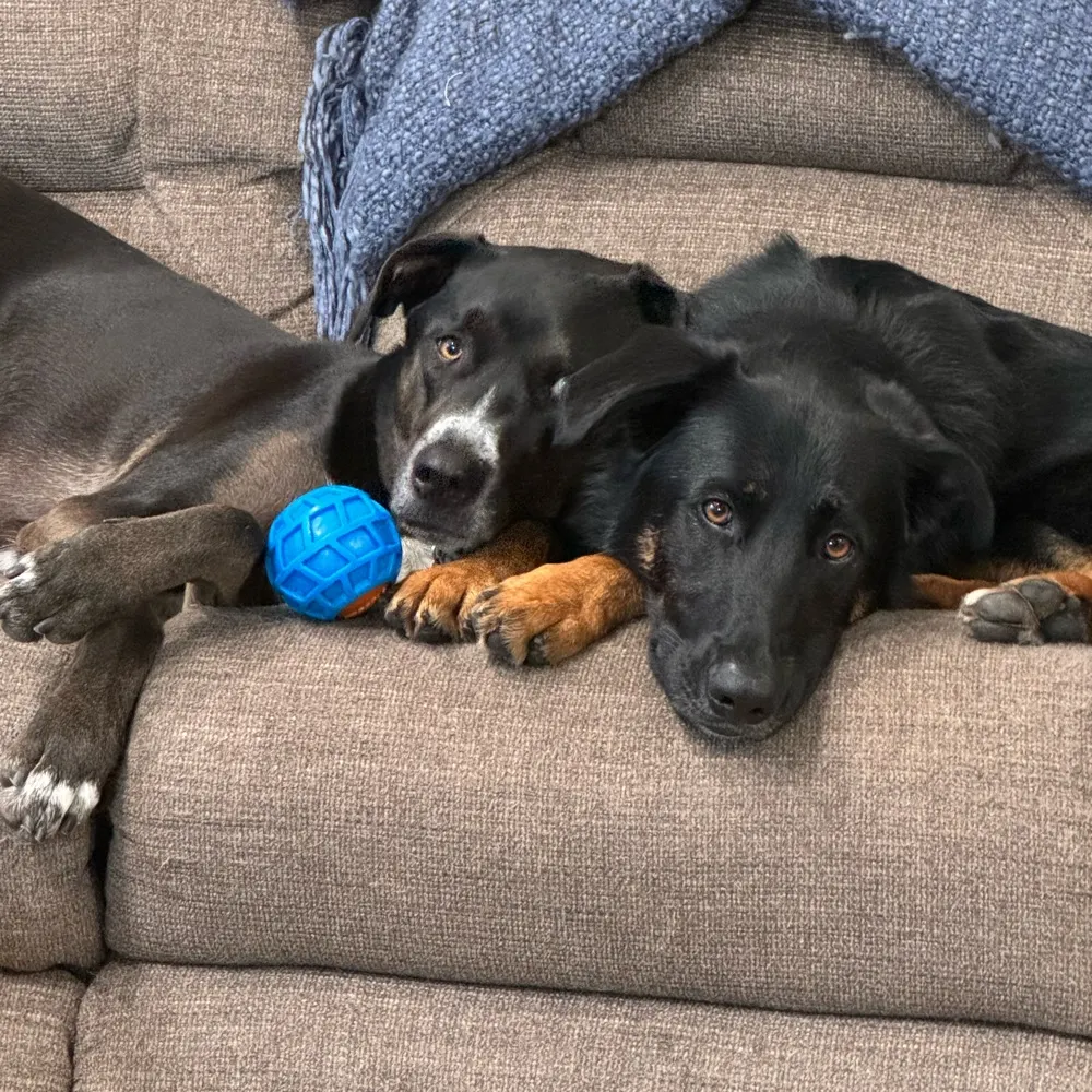 jdtigner.bsky.social's profile picture