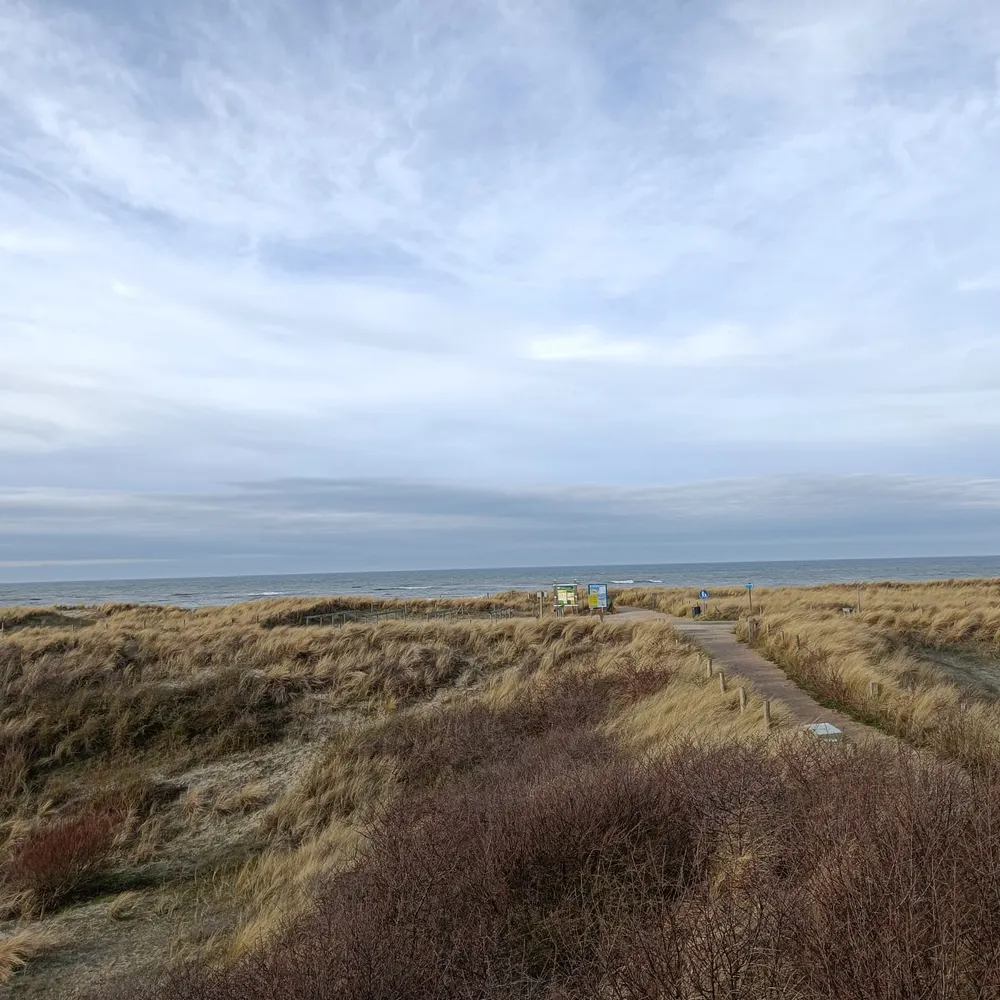 ezili.bsky.social's profile picture