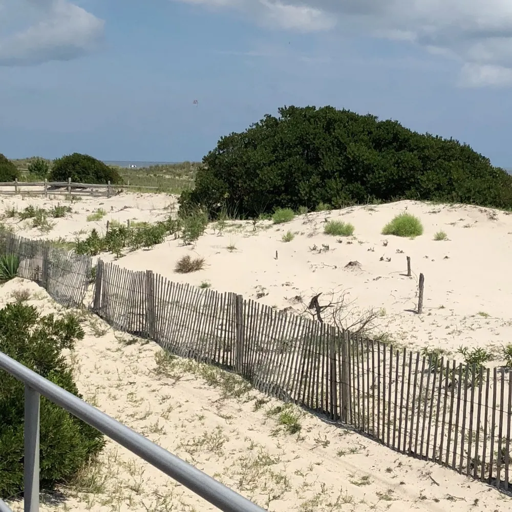 ocgirl.bsky.social's profile picture