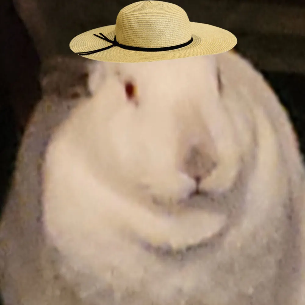 beeftheobeast.bsky.social's profile picture