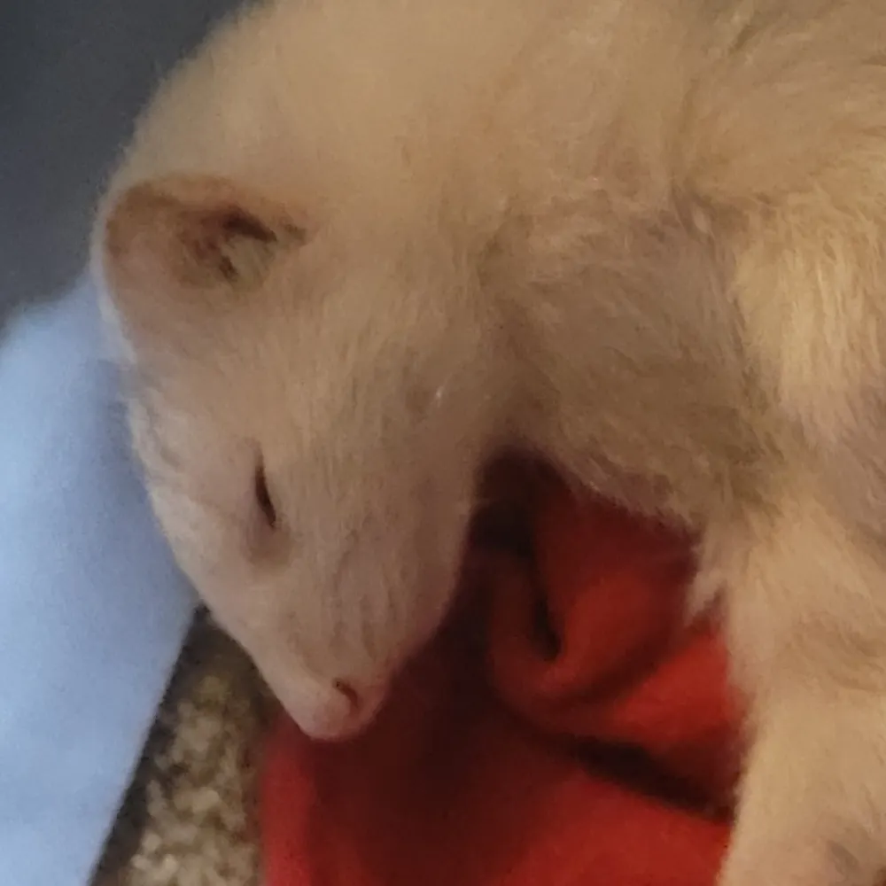 robstaeger.bsky.social's profile picture