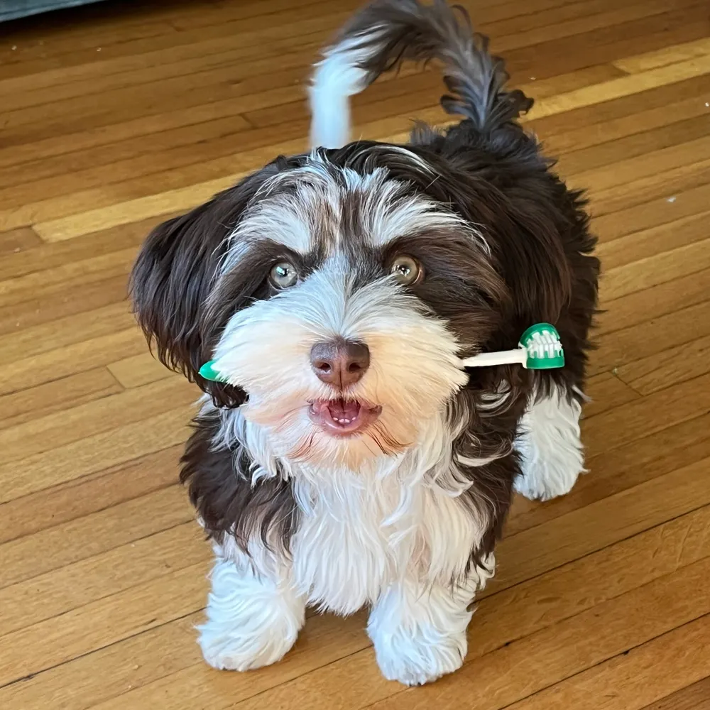 jimprall.bsky.social's profile picture