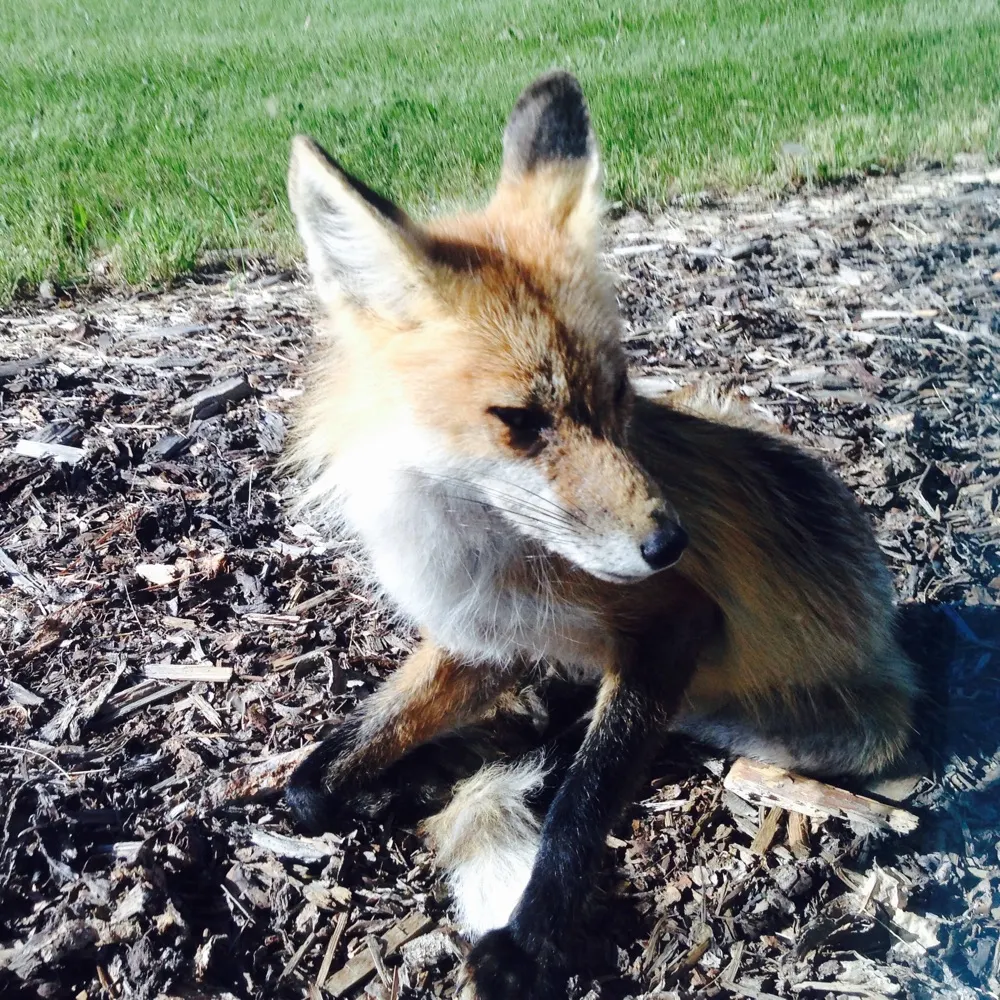 larryseefried.bsky.social's profile picture