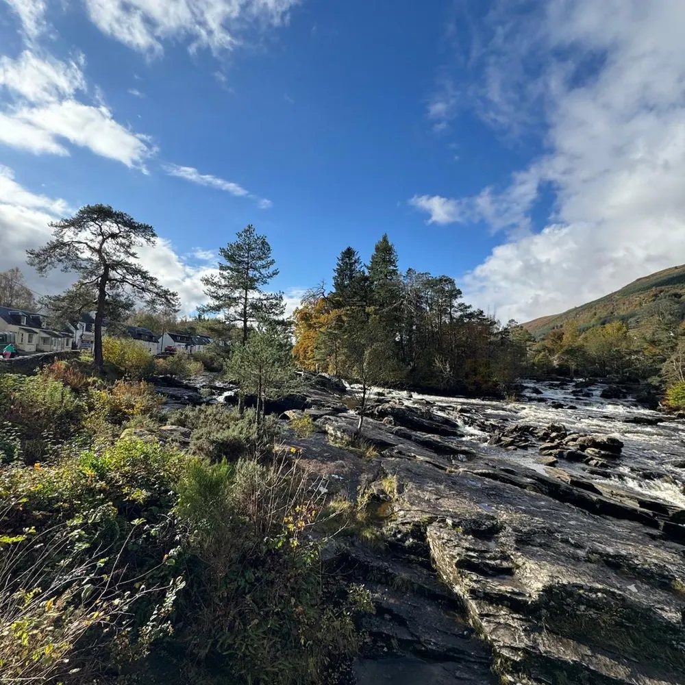 newman123.bsky.social's profile picture