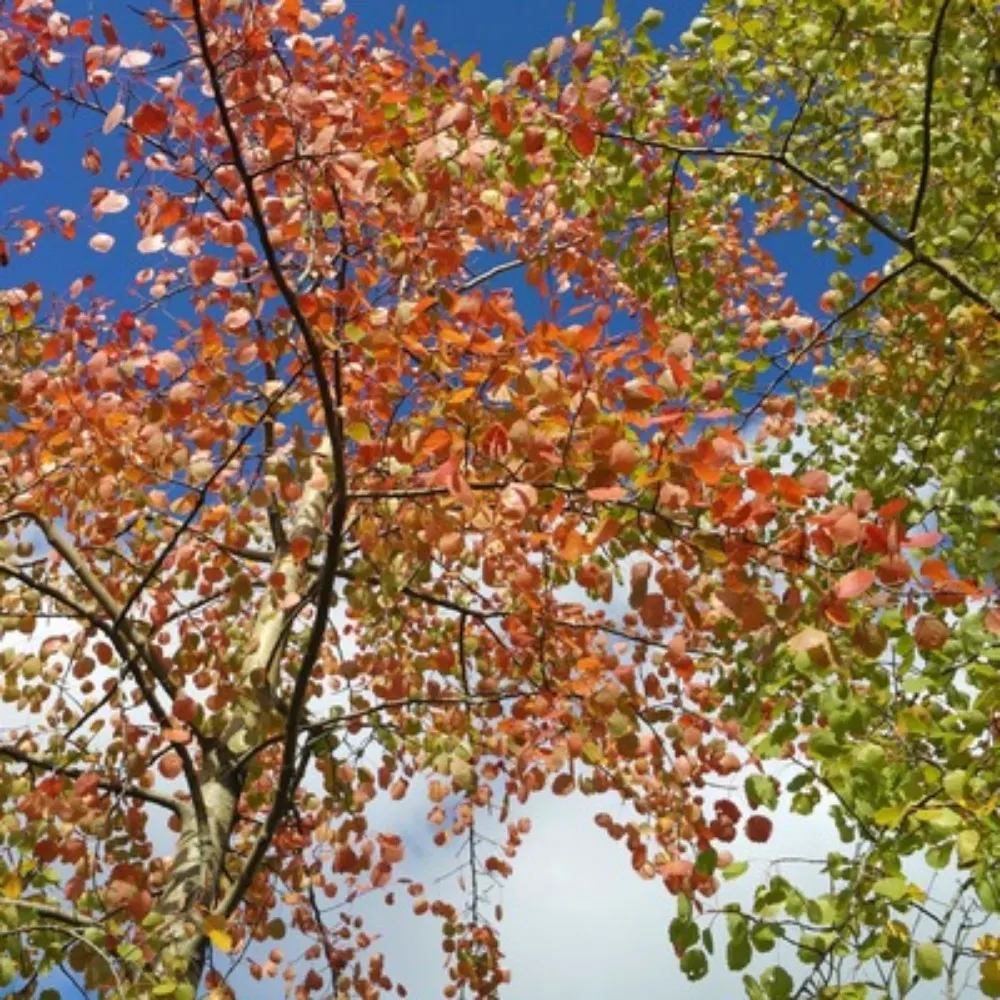 torbjornbjorkman.bsky.social's profile picture