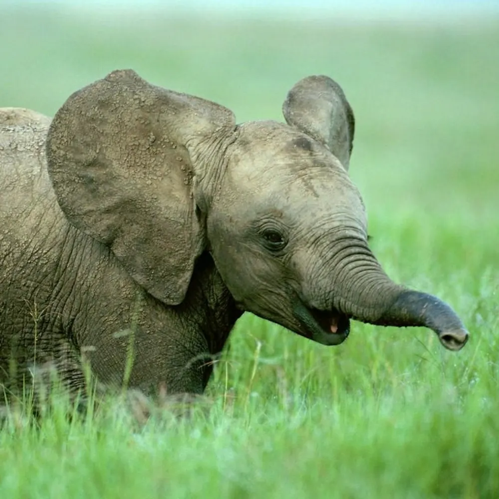 meganox.myatproto.social's profile picture