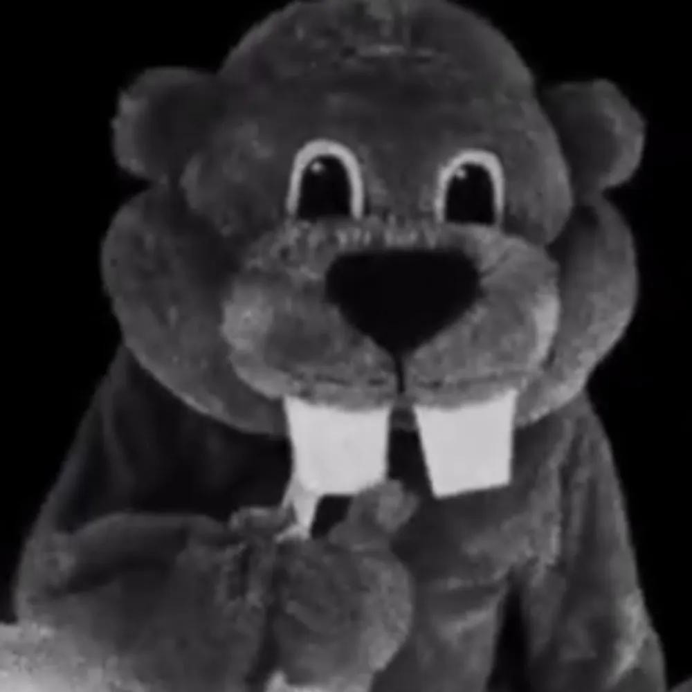 shehergayboy.bsky.social's profile picture