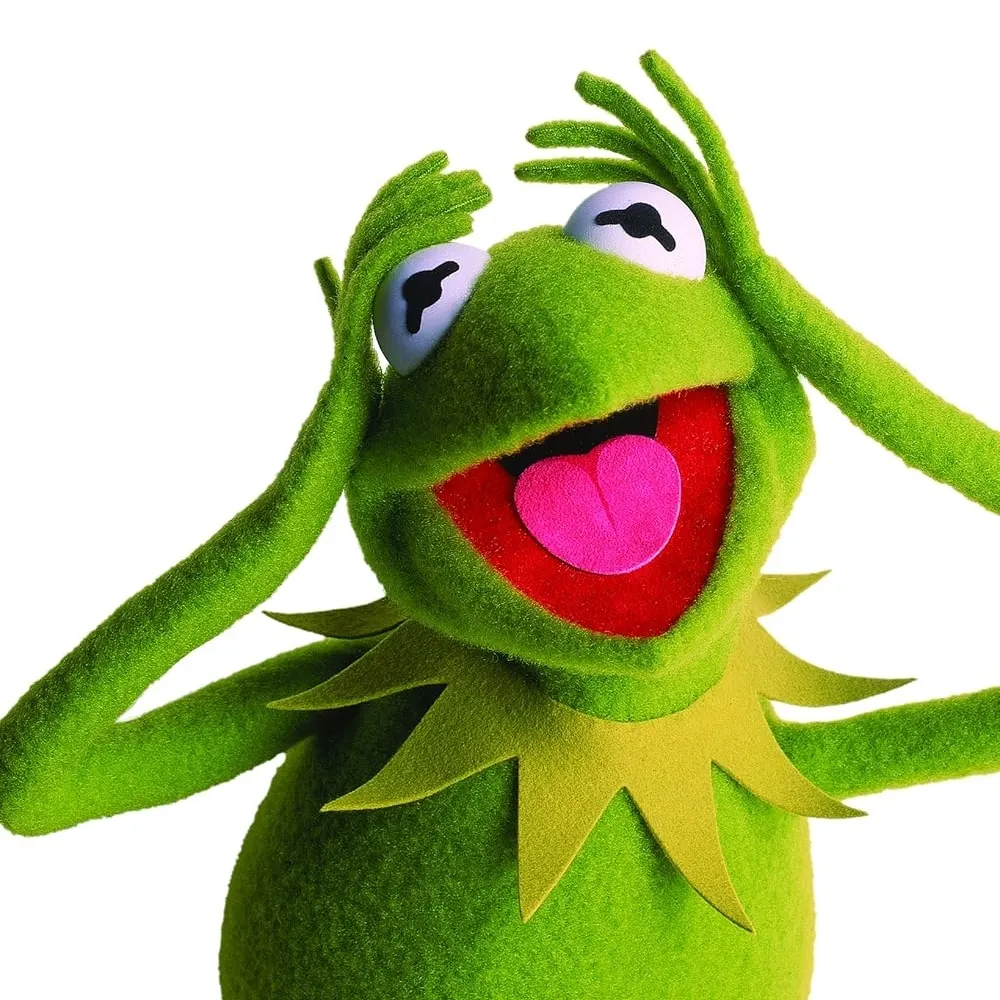 crowsbranch.bsky.social's profile picture