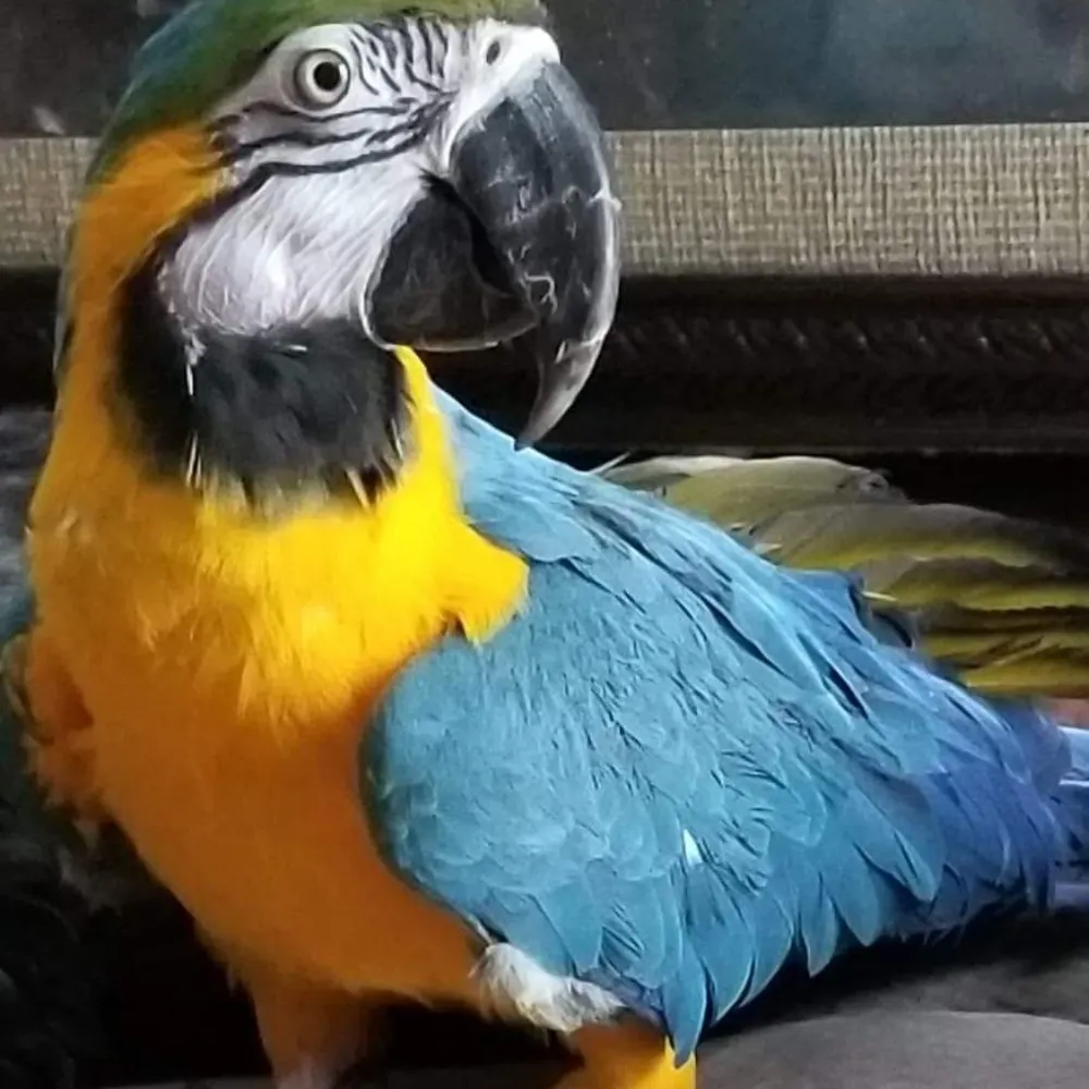 pa14313.bsky.social's profile picture