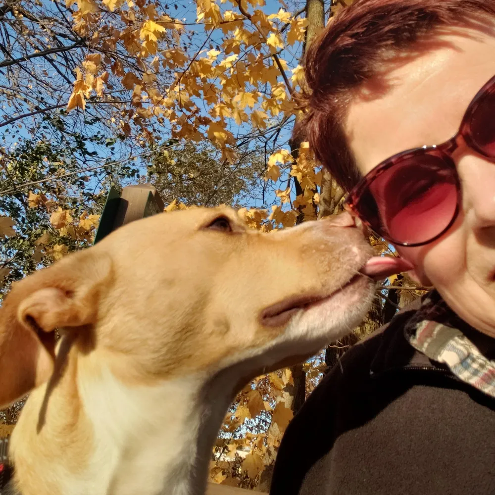 debbush.bsky.social's profile picture