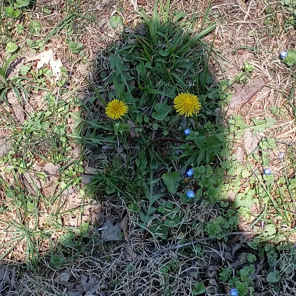 d1ucb4u.bsky.social's profile picture