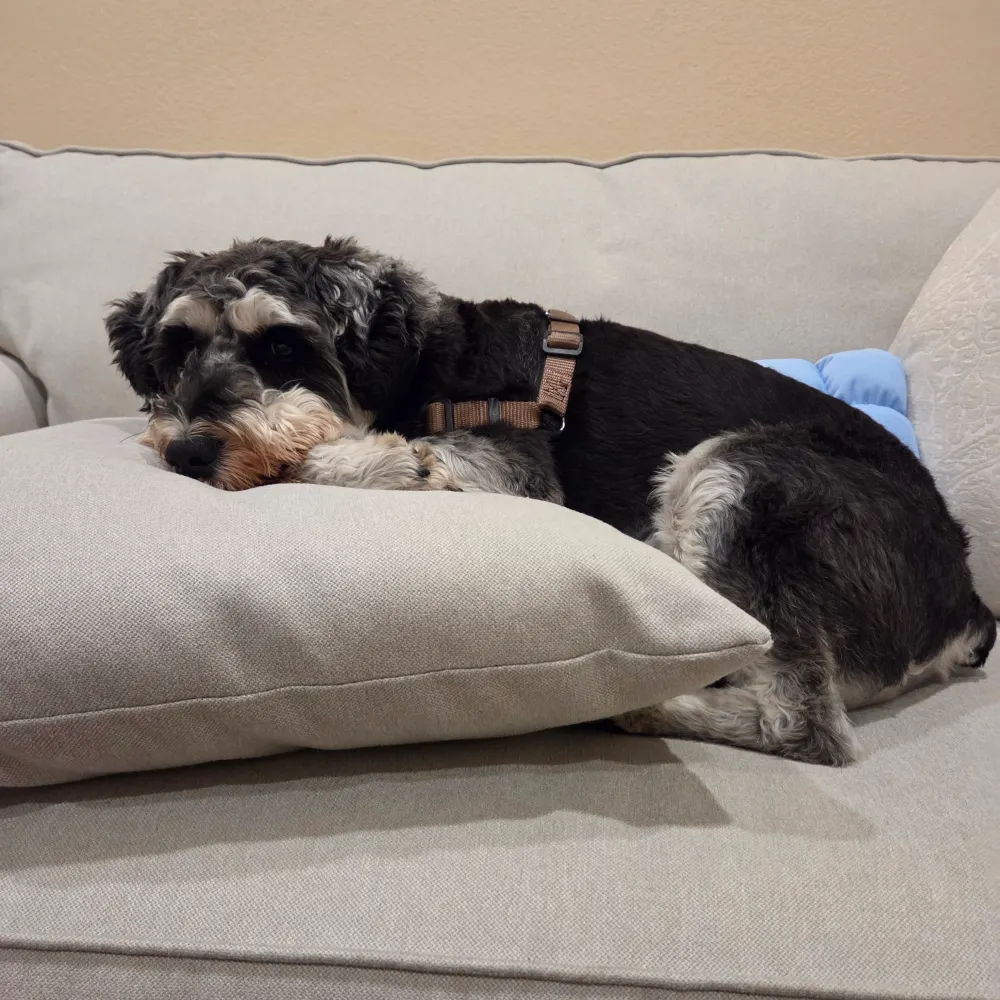 sandyl1234.bsky.social's profile picture