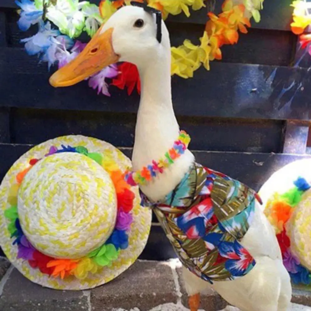 mrbartokomous.bsky.social's profile picture