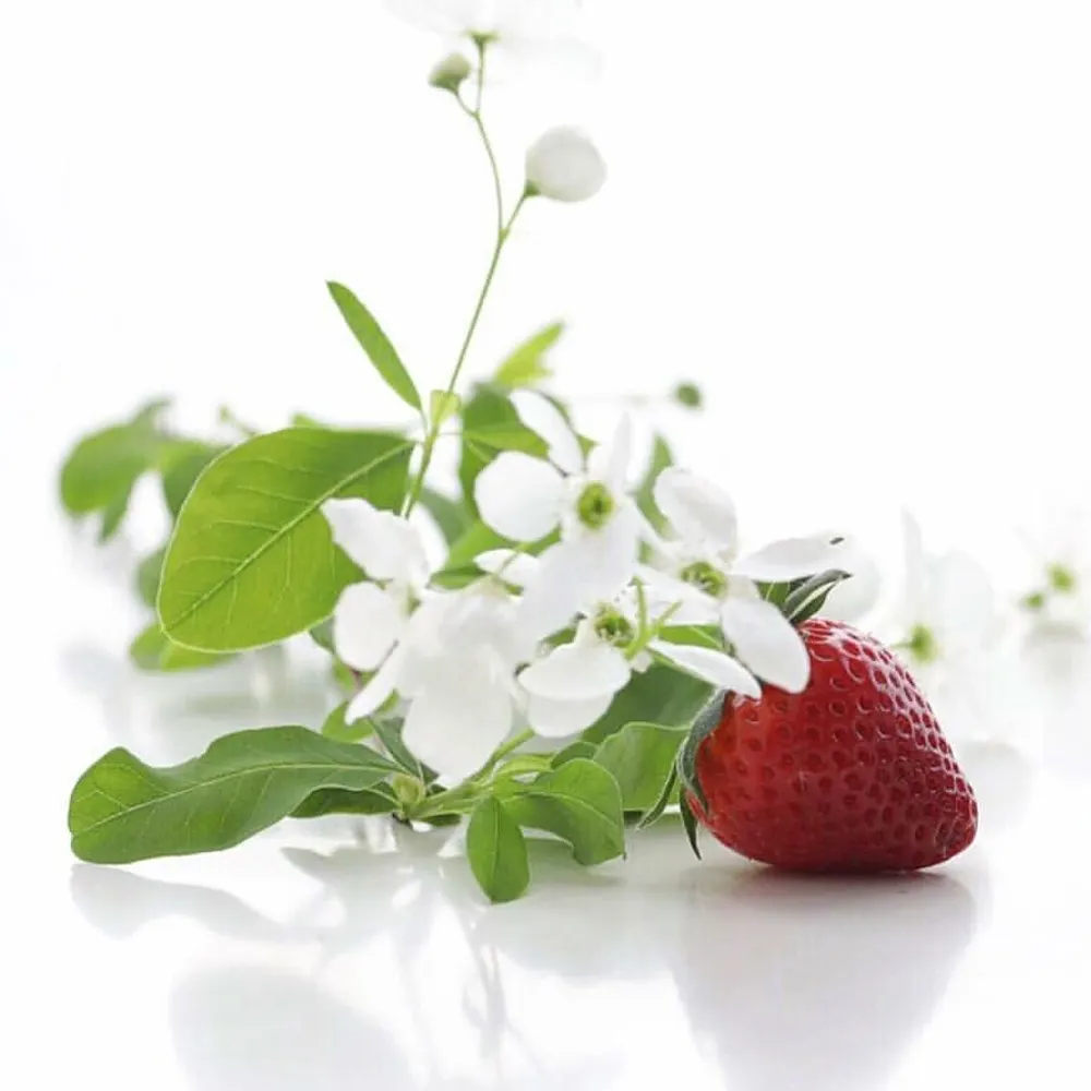 strawberryflower.bsky.social's profile picture