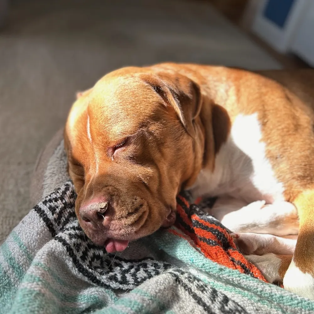 natethegreat68.bsky.social's profile picture